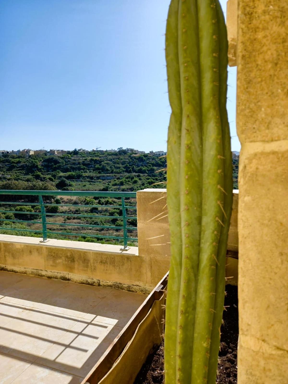 Paradise Gardens Otel Xagħra Dış mekan fotoğraf